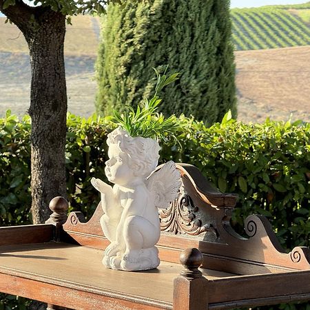 Agriturismo Il Raduno - Max Lelli Marsiliana Kültér fotó