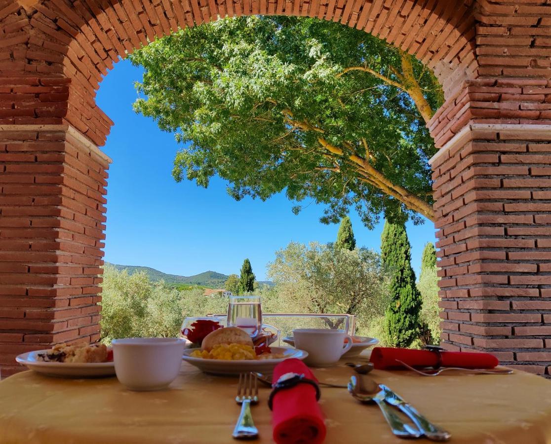 Agriturismo Il Raduno - Max Lelli Marsiliana Kültér fotó