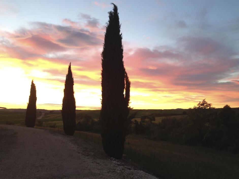 Agriturismo Il Raduno - Max Lelli Marsiliana Kültér fotó
