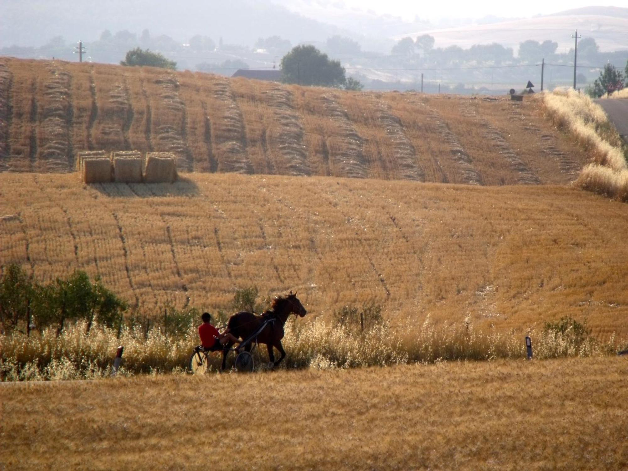 Agriturismo Il Raduno - Max Lelli Marsiliana Kültér fotó
