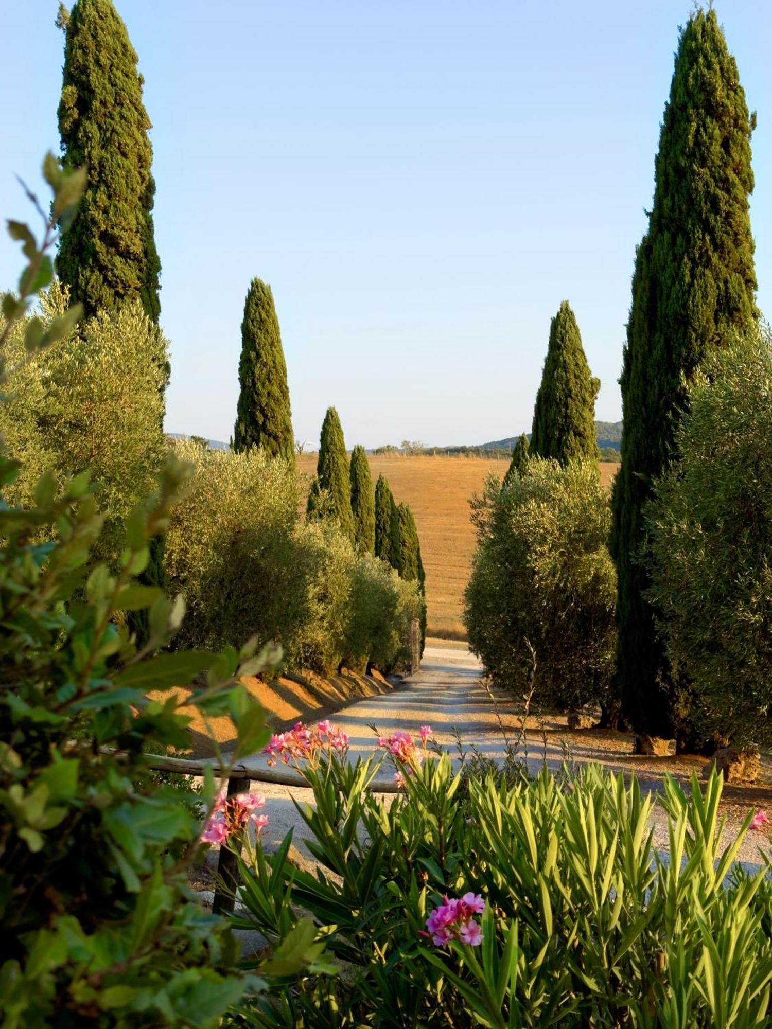 Agriturismo Il Raduno - Max Lelli Marsiliana Kültér fotó